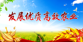 高效农业社会公益宣传海报素材