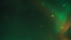 舞台灯光特效  舞台背景动效