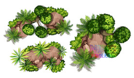 植物顶视图