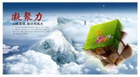 公司文化