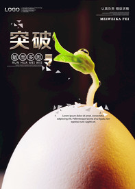 公司文化