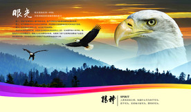 公司文化