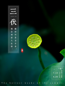 三伏天荷花海报
