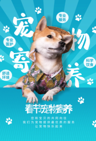 宠物寄养促销活动宣传海报素材