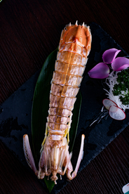 濑尿虾海鲜美食食材背景素材