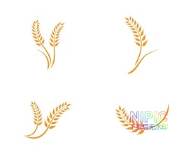 麦穗