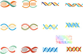 dna图形