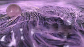 C4D模型动画光线生长行走