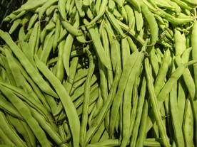 四季豆