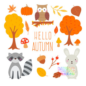 autumn秋天