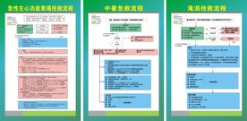 急性心功能衰竭 中暑淹溺抢救流