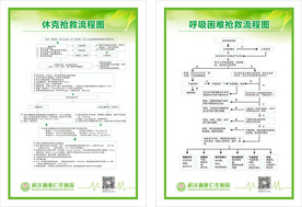休克抢救流程图呼吸困难抢救流程