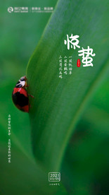 二十四节气海报  惊蛰