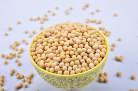 黄豆