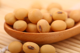 黄豆