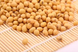 黄豆