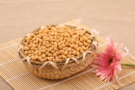 黄豆