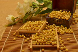 黄豆