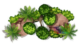 植物顶视图