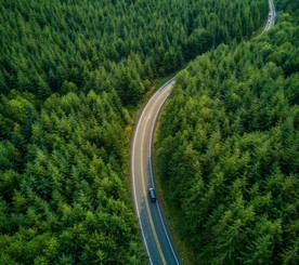 穿越丛林的公路