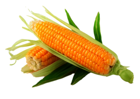 多种水果 新鲜高清水果抠图