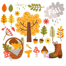 autumn秋天