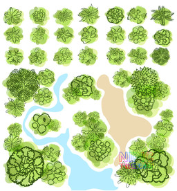 植物顶视图