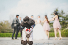 婚礼