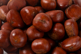 板栗