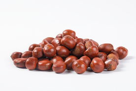 板栗