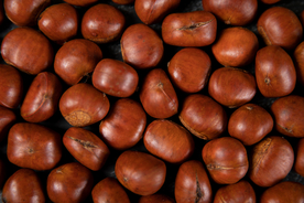 板栗