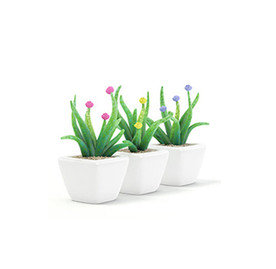 C4D模型绿色植物花盆
