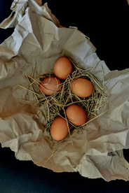鸡蛋