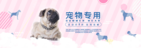 宠物海报
