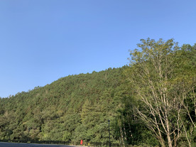 山