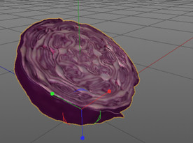 C4D模型紫甘蓝