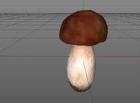 C4D模型蘑菇 蔬菜