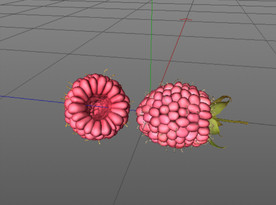C4D模型树莓