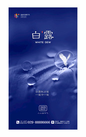 二十四节气海报 白露图片