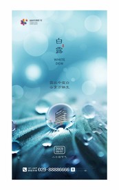 二十四节气海报 白露图片