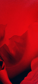 红色背景