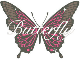 T恤  蝴蝶  裁片 印花