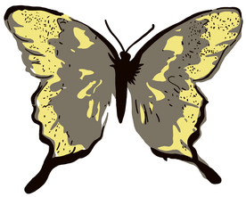 T恤  蝴蝶  裁片 印花