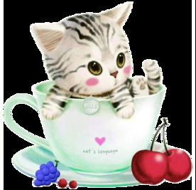 T恤  杯子猫  樱桃  葡萄