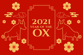 牛 新年展板背景