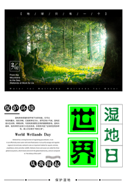 世界湿地日