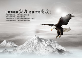 公司文化
