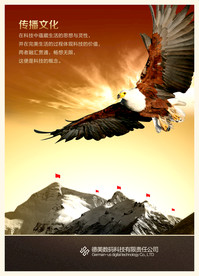 公司文化