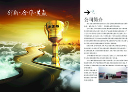 公司文化
