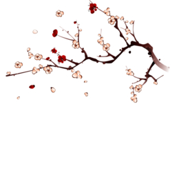 新年